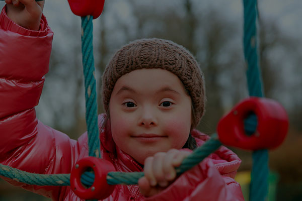 Important Statutes Image